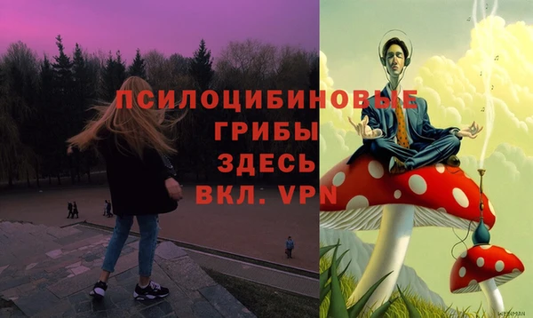 гашишное масло Краснослободск
